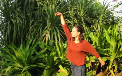 Stage Qi gong 5-9 juillet